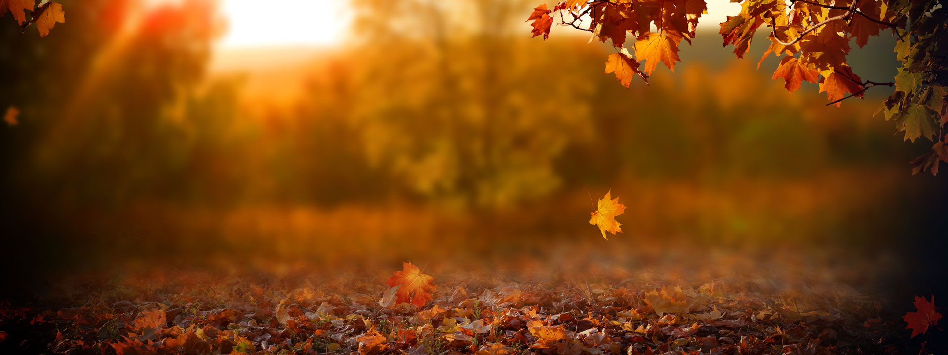 Risse Brothers School Uniforms